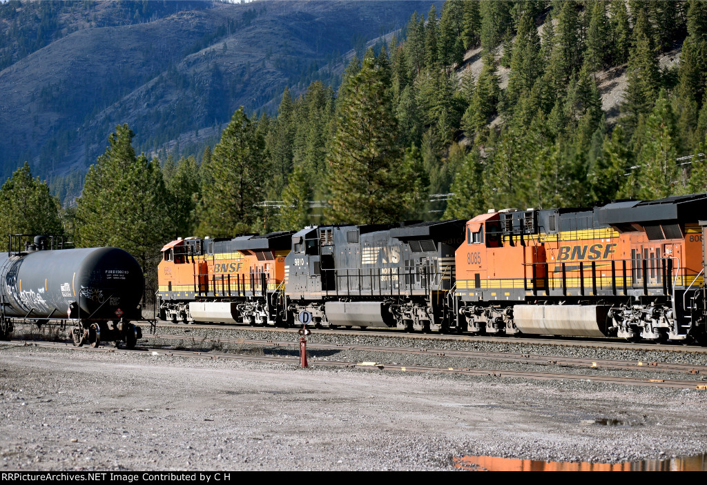 BNSF 6595/8085/NS 9810